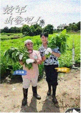 出发吧少年 综艺免费在线观看
